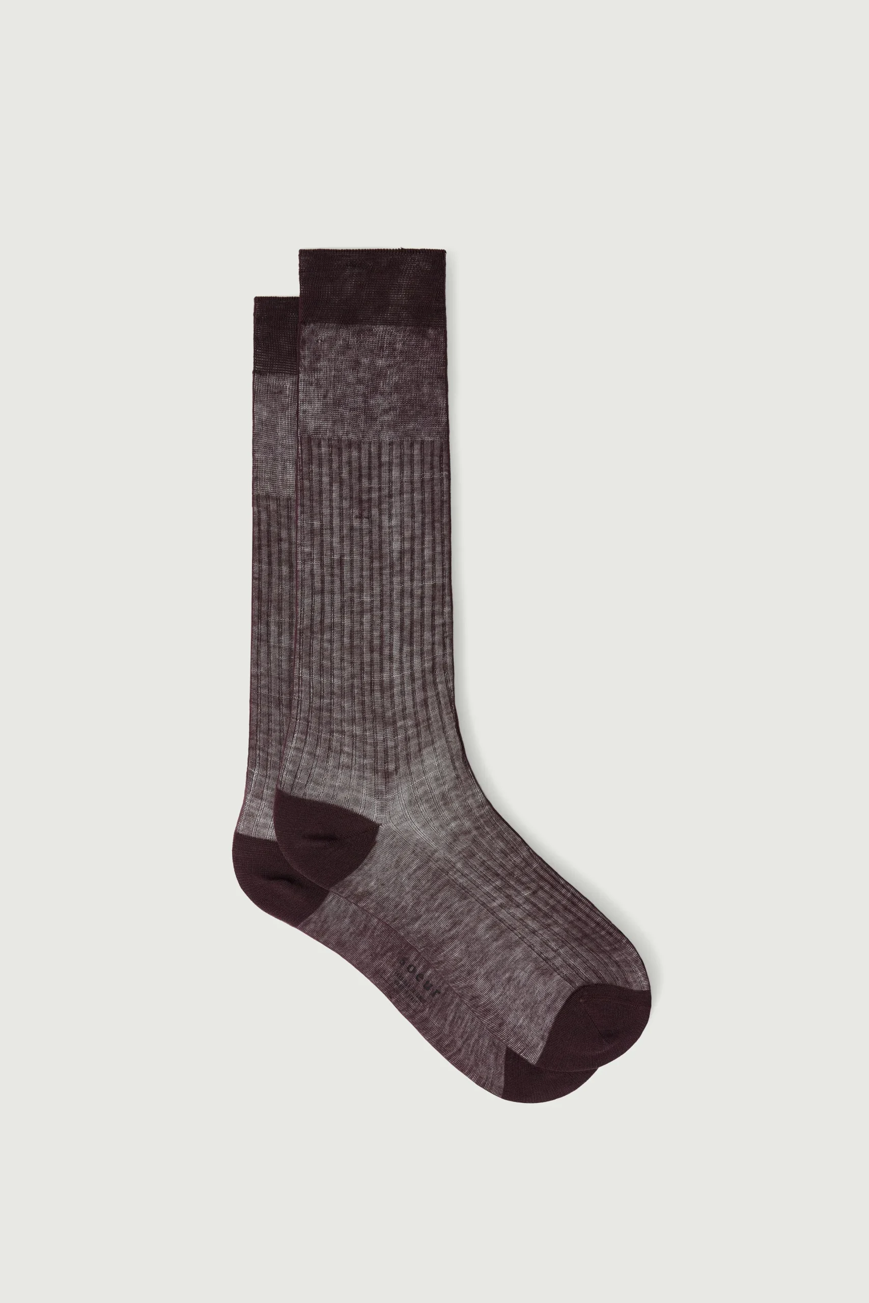 Hot Soeur chaussettes bach aubergine